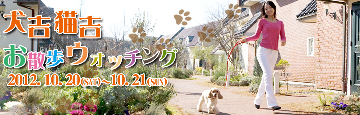犬吉猫吉 第3回お散歩ウォッチング